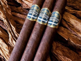 Dominican Republic Cigar Manufacturing - Commercial Photography for Marketing, Advertising &amp; Website Design - Palm Island Creative