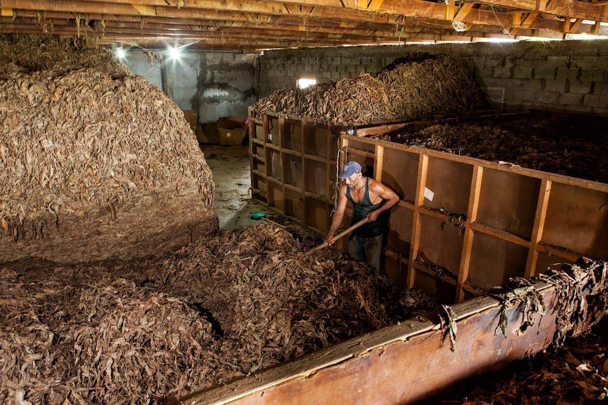 Commercial-Promotional-Photography-Dominican-Republic-Cigar-factory-Manufacturing-08 Dominican Republic Cigar Manufacturing - Commercial Photography for Marketing, Advertising & Website Design - Palm Island Creative