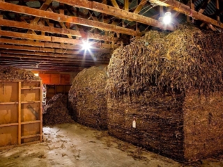 Dominican Republic Cigar Manufacturing - Commercial Photography for Marketing, Advertising &amp; Website Design - Palm Island Creative