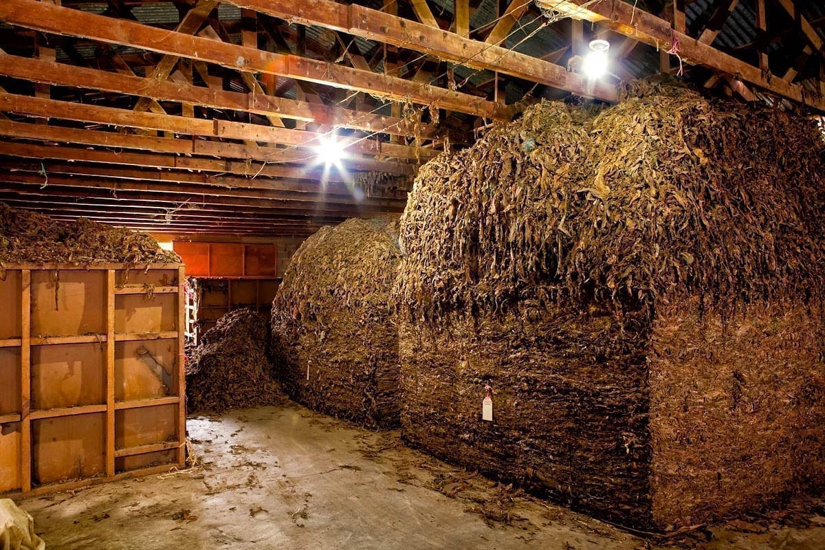 Commercial-Promotional-Photography-Dominican-Republic-Cigar-factory-Manufacturing-10 Dominican Republic Cigar Manufacturing - Commercial Photography for Marketing, Advertising & Website Design - Palm Island Creative