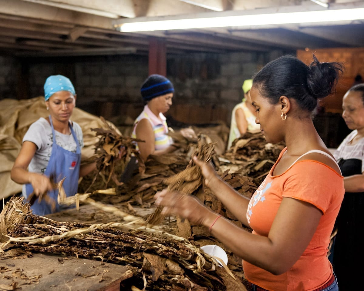 Commercial-Promotional-Photography-Dominican-Republic-Cigar-factory-Manufacturing-12 Dominican Republic Cigar Manufacturing - Commercial Photography for Marketing, Advertising & Website Design - Palm Island Creative