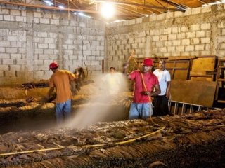 Dominican Republic Cigar Manufacturing - Commercial Photography for Marketing, Advertising &amp; Website Design - Palm Island Creative
