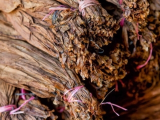 Dominican Republic Cigar Manufacturing - Commercial Photography for Marketing, Advertising &amp; Website Design - Palm Island Creative