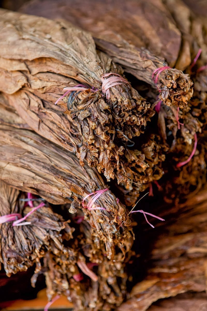 Commercial-Promotional-Photography-Dominican-Republic-Cigar-factory-Manufacturing-14 Dominican Republic Cigar Manufacturing - Commercial Photography for Marketing, Advertising & Website Design - Palm Island Creative