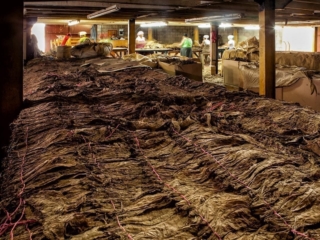 Dominican Republic Cigar Manufacturing - Commercial Photography for Marketing, Advertising &amp; Website Design - Palm Island Creative