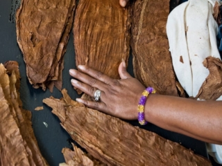 Dominican Republic Cigar Manufacturing - Commercial Photography for Marketing, Advertising &amp; Website Design - Palm Island Creative