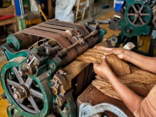 Dominican Republic Cigar Manufacturing - Commercial Photography for Marketing, Advertising &amp; Website Design - Palm Island Creative