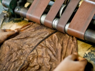 Dominican Republic Cigar Manufacturing - Commercial Photography for Marketing, Advertising &amp; Website Design - Palm Island Creative