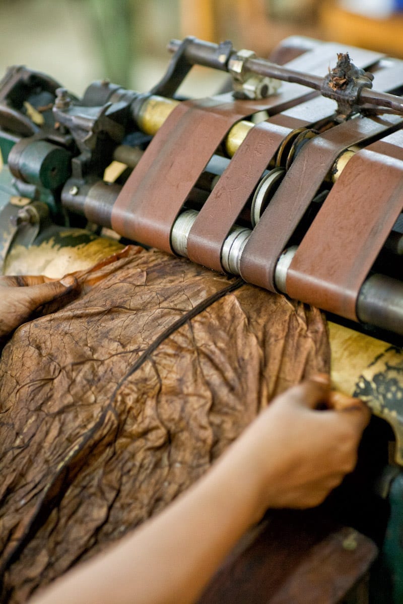 Commercial-Promotional-Photography-Dominican-Republic-Cigar-factory-Manufacturing-18 Dominican Republic Cigar Manufacturing - Commercial Photography for Marketing, Advertising & Website Design - Palm Island Creative