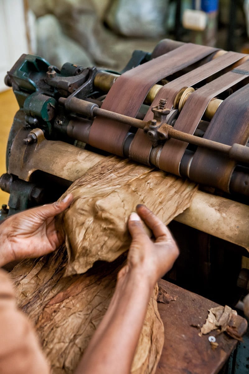 Commercial-Promotional-Photography-Dominican-Republic-Cigar-factory-Manufacturing-20 Dominican Republic Cigar Manufacturing - Commercial Photography for Marketing, Advertising & Website Design - Palm Island Creative