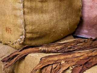 Dominican Republic Cigar Manufacturing - Commercial Photography for Marketing, Advertising &amp; Website Design - Palm Island Creative