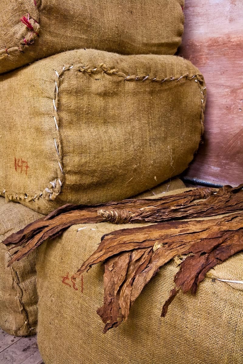 Commercial-Promotional-Photography-Dominican-Republic-Cigar-factory-Manufacturing-22 Dominican Republic Cigar Manufacturing - Commercial Photography for Marketing, Advertising & Website Design - Palm Island Creative