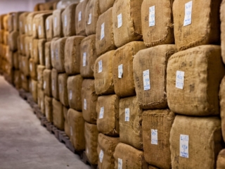 Dominican Republic Cigar Manufacturing - Commercial Photography for Marketing, Advertising &amp; Website Design - Palm Island Creative