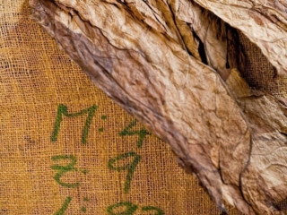 Dominican Republic Cigar Manufacturing - Commercial Photography for Marketing, Advertising &amp; Website Design - Palm Island Creative