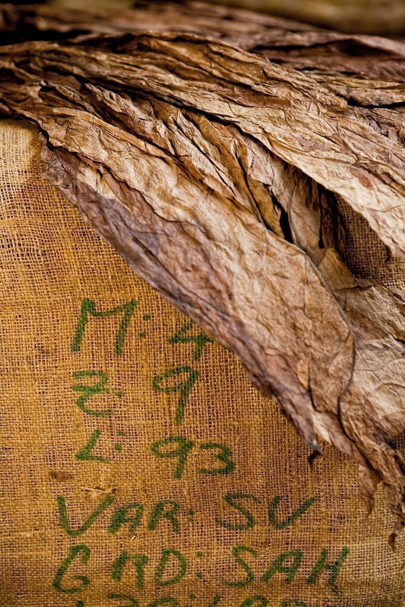 Commercial-Promotional-Photography-Dominican-Republic-Cigar-factory-Manufacturing-24 Dominican Republic Cigar Manufacturing - Commercial Photography for Marketing, Advertising & Website Design - Palm Island Creative