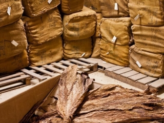 Dominican Republic Cigar Manufacturing - Commercial Photography for Marketing, Advertising &amp; Website Design - Palm Island Creative