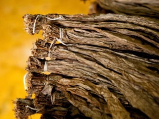 Dominican Republic Cigar Manufacturing - Commercial Photography for Marketing, Advertising &amp; Website Design - Palm Island Creative