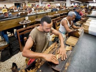 Dominican Republic Cigar Manufacturing - Commercial Photography for Marketing, Advertising &amp; Website Design - Palm Island Creative