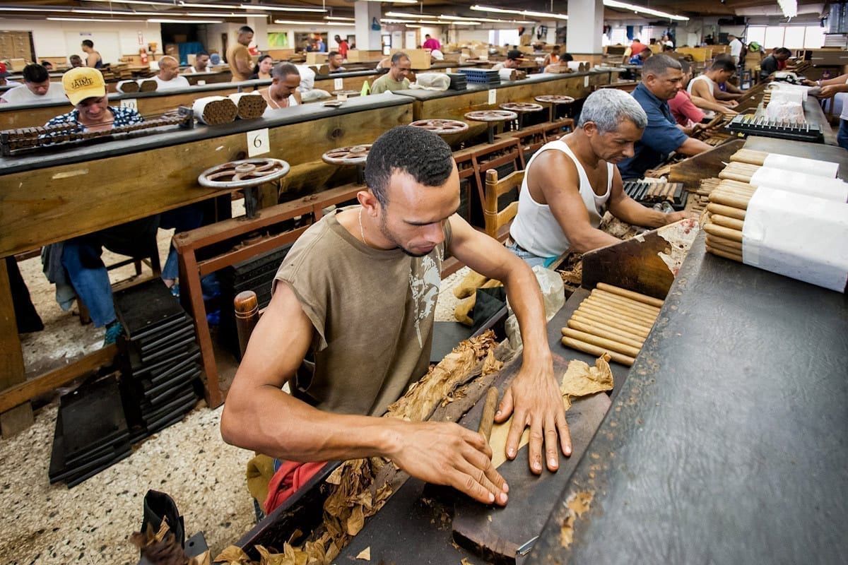 Commercial-Promotional-Photography-Dominican-Republic-Cigar-factory-Manufacturing-28 Dominican Republic Cigar Manufacturing - Commercial Photography for Marketing, Advertising & Website Design - Palm Island Creative