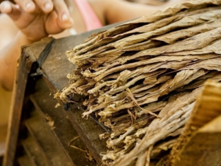 Dominican Republic Cigar Manufacturing - Commercial Photography for Marketing, Advertising &amp; Website Design - Palm Island Creative