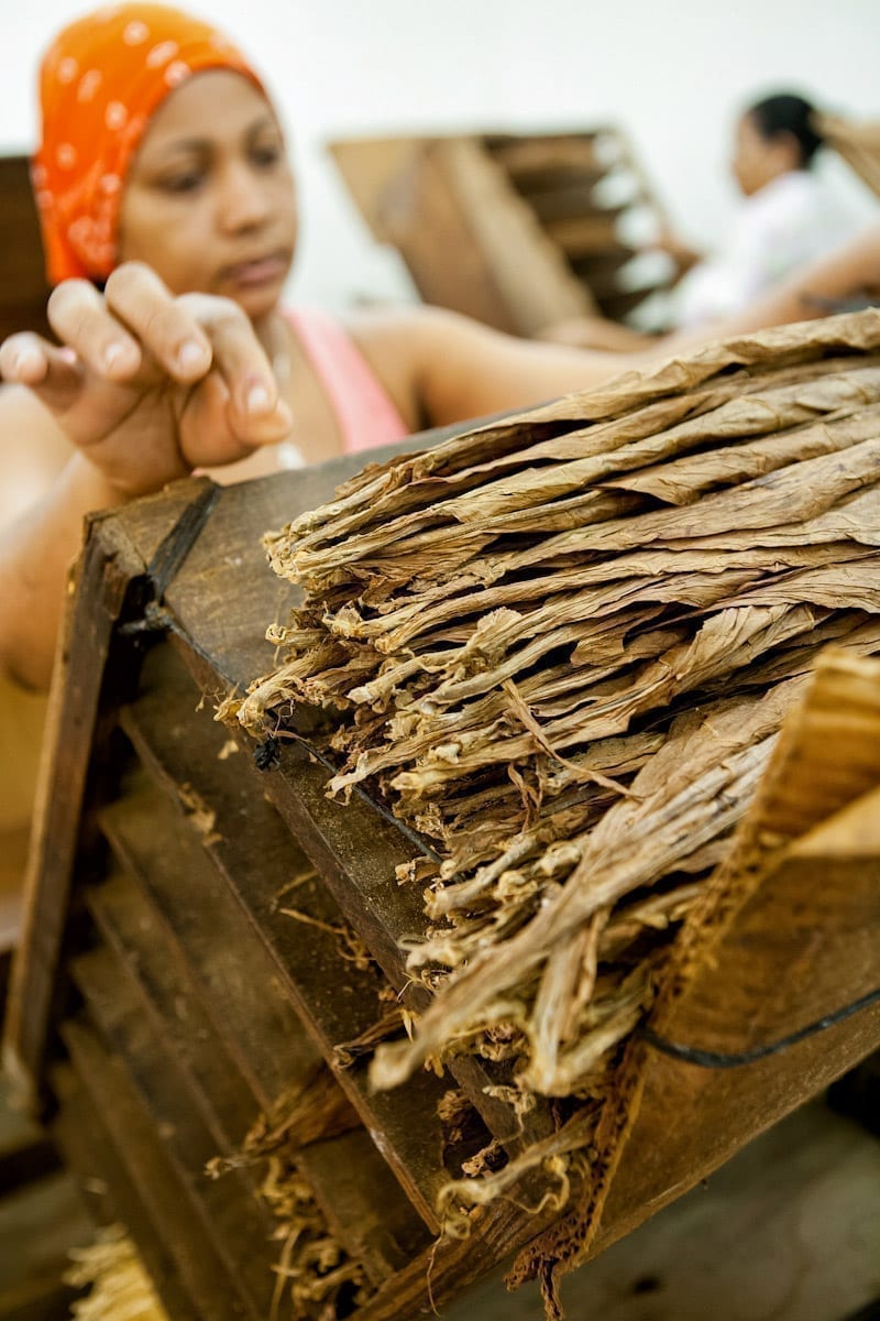 Commercial-Promotional-Photography-Dominican-Republic-Cigar-factory-Manufacturing-30 Dominican Republic Cigar Manufacturing - Commercial Photography for Marketing, Advertising & Website Design - Palm Island Creative