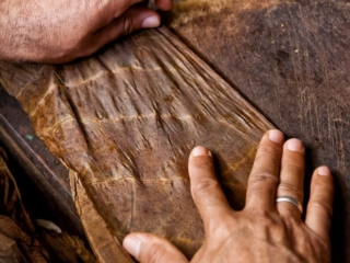 Dominican Republic Cigar Manufacturing - Commercial Photography for Marketing, Advertising &amp; Website Design - Palm Island Creative