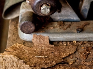 Dominican Republic Cigar Manufacturing - Commercial Photography for Marketing, Advertising &amp; Website Design - Palm Island Creative