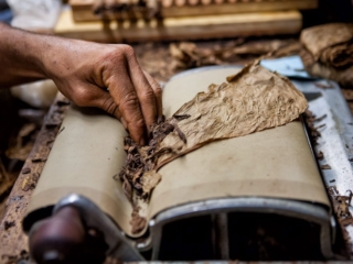 Dominican Republic Cigar Manufacturing - Commercial Photography for Marketing, Advertising &amp; Website Design - Palm Island Creative