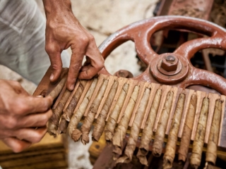 Dominican Republic Cigar Manufacturing - Commercial Photography for Marketing, Advertising &amp; Website Design - Palm Island Creative