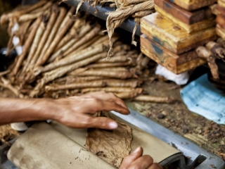 Dominican Republic Cigar Manufacturing - Commercial Photography for Marketing, Advertising &amp; Website Design - Palm Island Creative