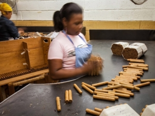 Dominican Republic Cigar Manufacturing - Commercial Photography for Marketing, Advertising &amp; Website Design - Palm Island Creative