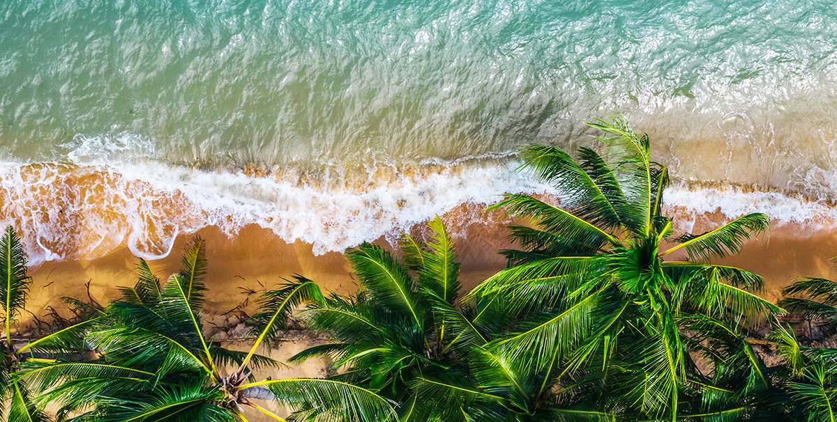 About This Website - Discover - Palm Island Creative