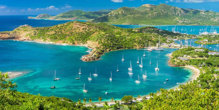 About Us - Discover - Palm Island Creative