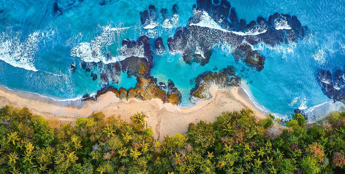 Design Portfolio - Explore - Palm Island Creative