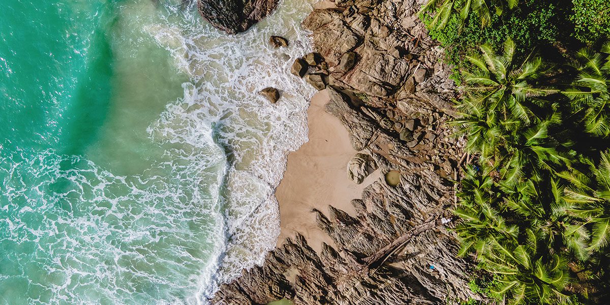 Island Journal Blog - Discover - Palm Island Creative