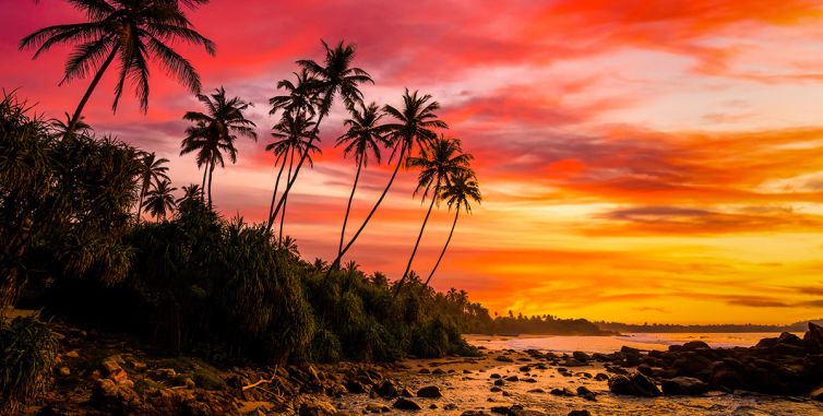 Let's Make Waves - Contact - Connect - Palm Island Creative