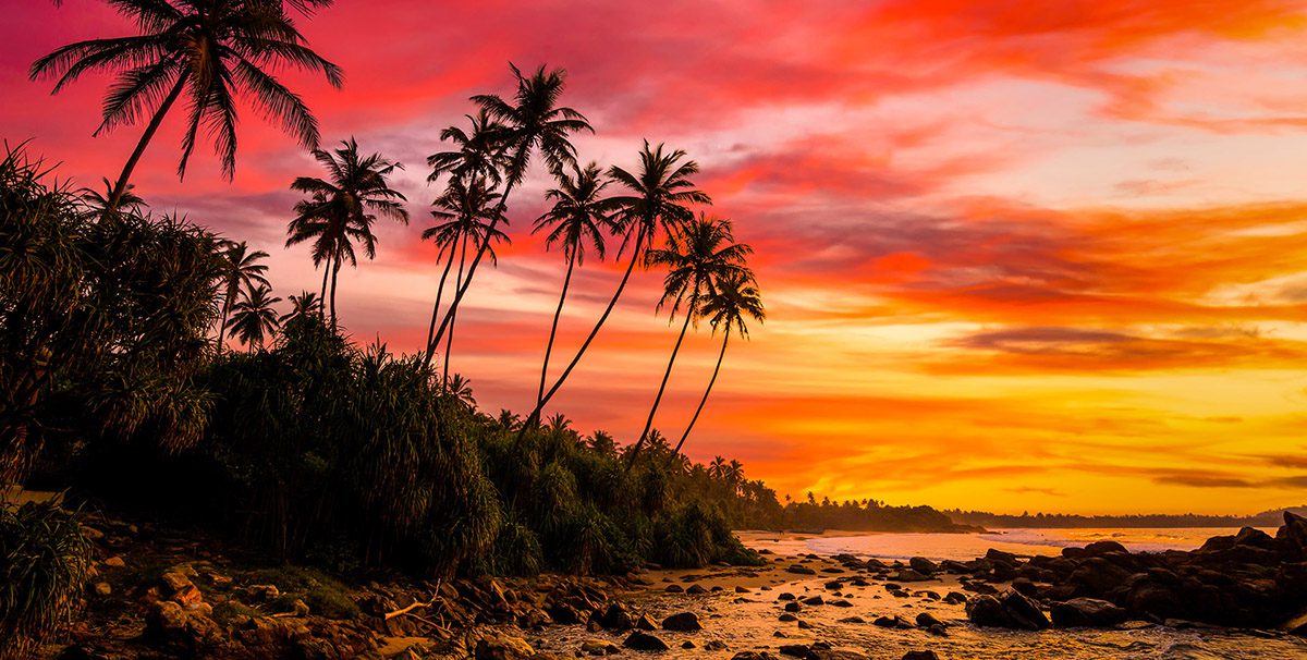 Let's Make Waves - Contact - Connect - Palm Island Creative