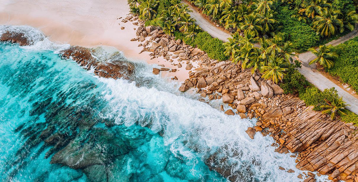 Reputation Management - Digital Marketing Services - Palm Island Creative