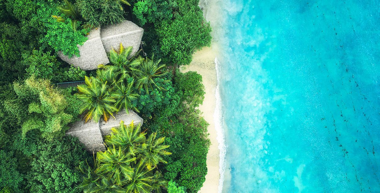 SEO & AI Search - Search Engine Optimization Strategy - Digital Marketing Services - Palm Island Creative