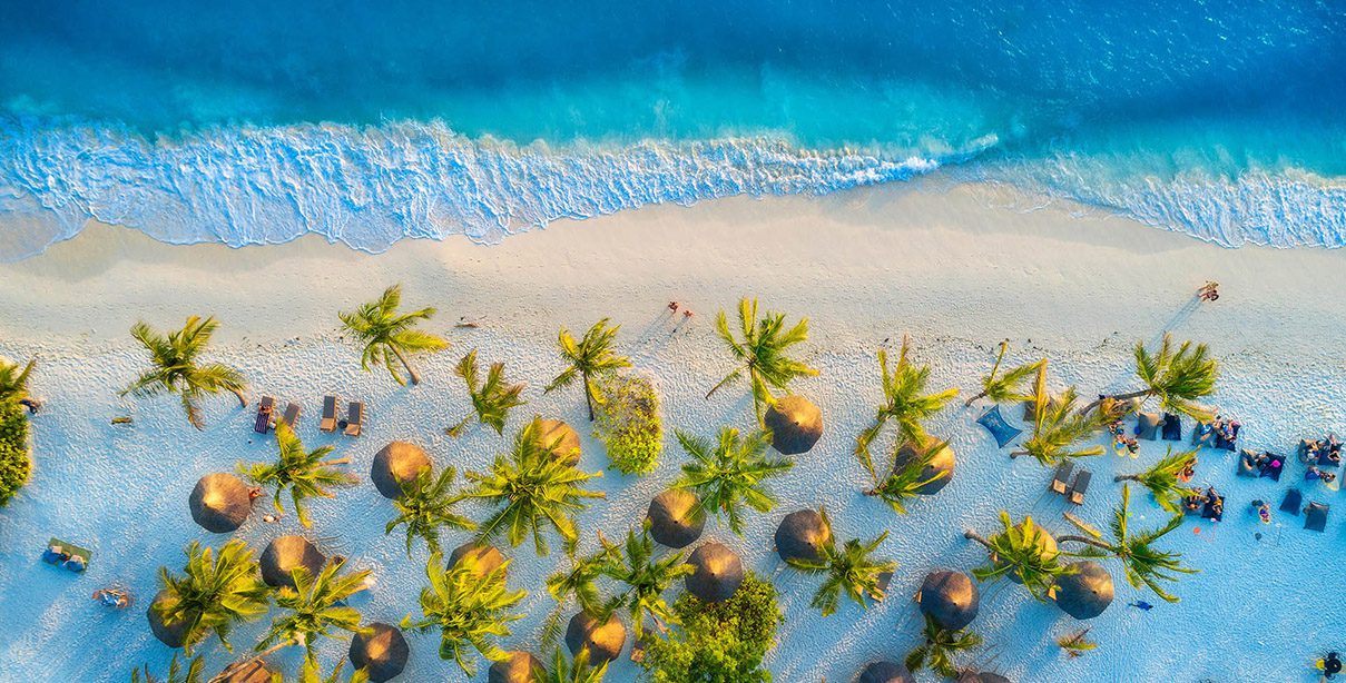 Website Development - Design Services - Palm Island Creative