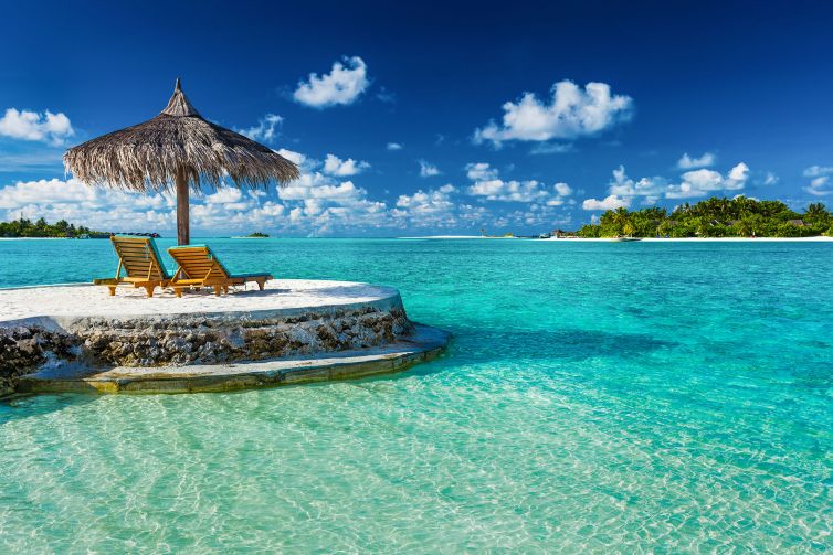 Brand Identity - Create - Palm Island Creative