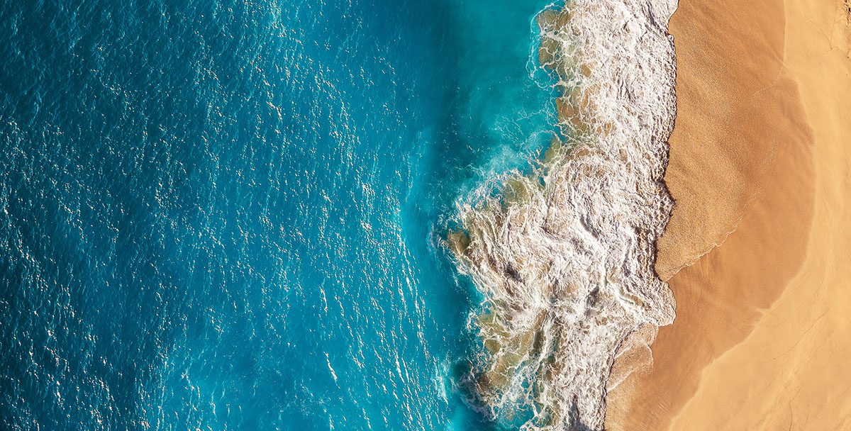 Website Design - Color Palette Development - Create - Palm Island Creative