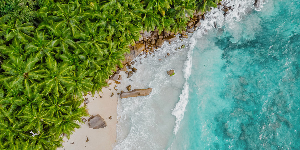 Brand Marketing - Lead Capture - Thrive - Palm Island Creative