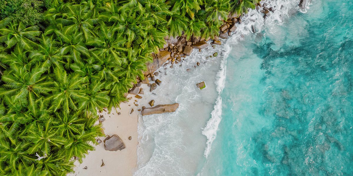 Brand Marketing - Lead Capture - Thrive - Palm Island Creative