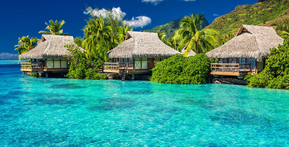 Brand Marketing - Thrive - Palm Island Creative