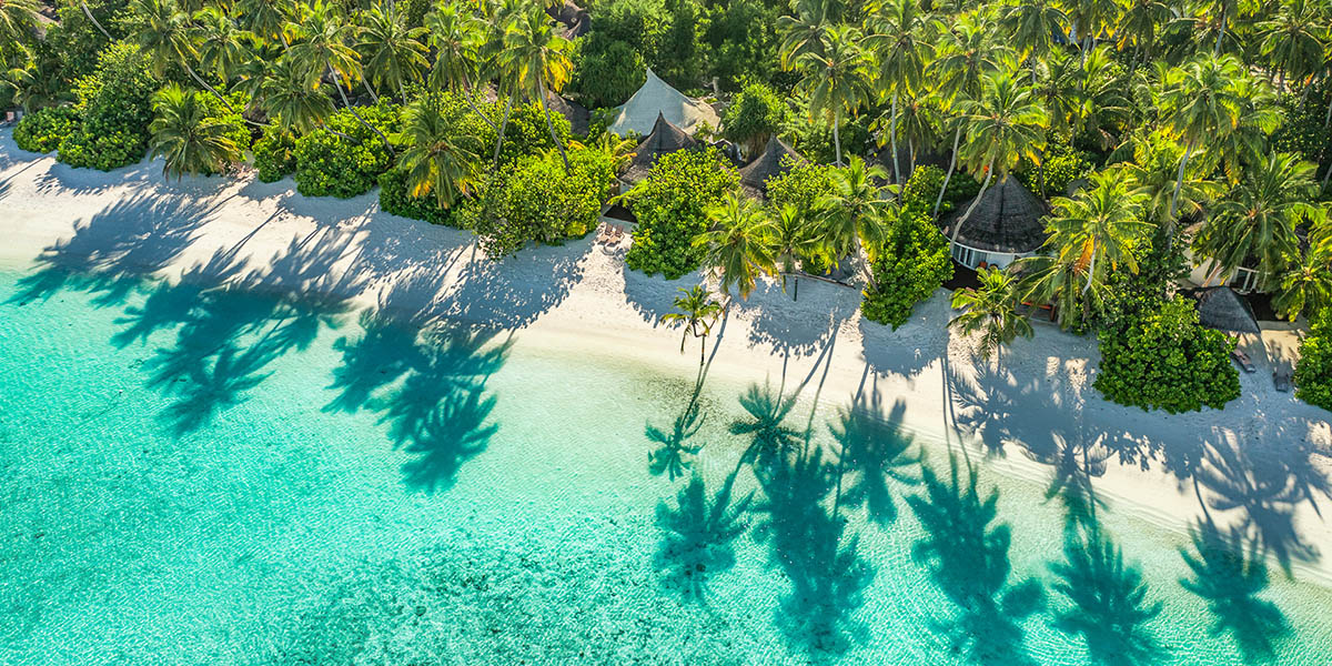 Google Business Profile - Content Engagement - Thrive - Palm Island Creative