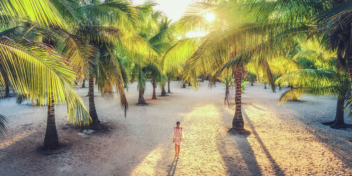 Google Business Profile - Local Search Enhancement - Thrive - Palm Island Creative - Thrive - Palm Island Creative