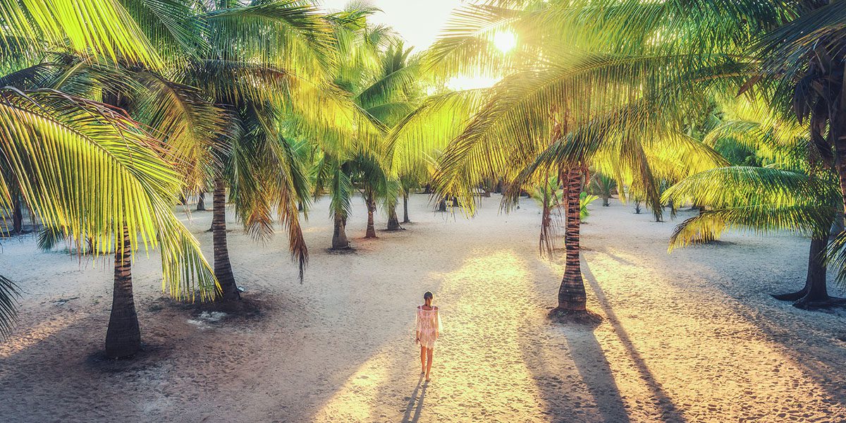 Google Business Profile - Local Search Enhancement - Thrive - Palm Island Creative - Thrive - Palm Island Creative