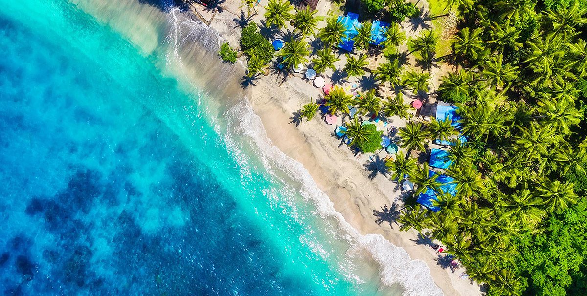 Google Business Profile - Thrive - Palm Island Creative