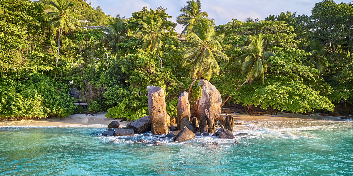 Google Business Profile - Performance Tracking - Thrive - Palm Island Creative - Thrive - Palm Island Creative